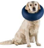 Kołnierz dmuchany pozabiegowy Trixie